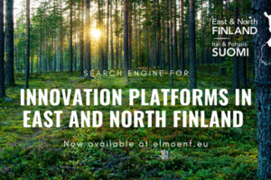 innovation-platforms-east-north-finlands